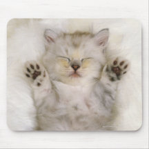 Kitten Sleeping on a White Fluffy Carpet, High Mouse Pad