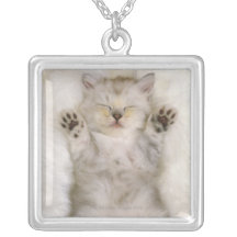 Kitten Sleeping on a White Fluffy Carpet, High Custom Jewelry