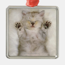 Kitten Sleeping on a White Fluffy Carpet, High Christmas Ornaments