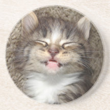 Kitten Smile Coasters