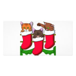 Kitten Stockings Photo Card Template