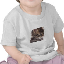 kitten t-shirt