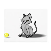 Kitten Tshirts and Gifts 133