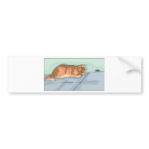 Kitten Tshirts and Gifts 172
