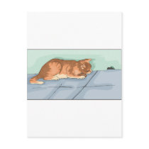 Kitten Tshirts and Gifts 172