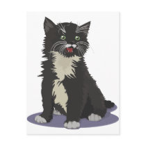 Kitten Tshirts and Gifts 177