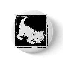 Kitten Tshirts and Gifts 404