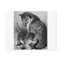 Kitten Tshirts and Gifts 443