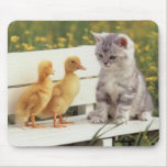 kitten with ducks mousepads