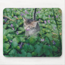 Kitten With Violet Smile Mouse Pads