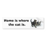 kittenjanuary, Home is where the cat is. bumper stickers