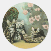 Kittens and Blossoms Round Stickers