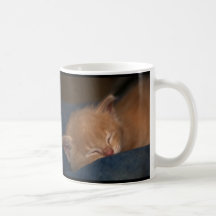 KITTENS ARE ANGELS WITH WHISKERS MUGS