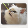 Kittens are nature lovers mouse pad