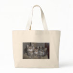Kittens bags