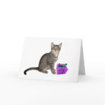 Kitten's Birthday Greeting Card