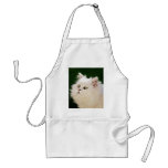 Kittens fascination aprons