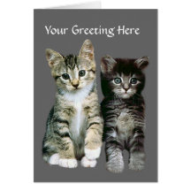Kittens Greeting Card