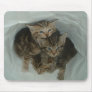 Kitten's in a Sack Mousepad
