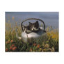 Kittens in an old kettle postcard