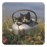 Kittens in an old kettle square stickers