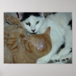 Kittens in Love Print