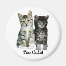Kittens Magnet Too Cute