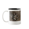 Kittens mugs