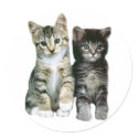Kittens Sticker