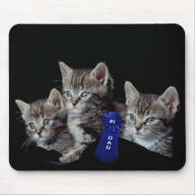 Kittens With Unbelievable Blue Eyes Mouse Pad