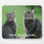 Kitties  Pono & Paka Lolo mousepads