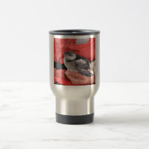 Kittlitz's Murrelet Mug