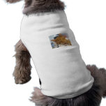 kitty2 doggie tee