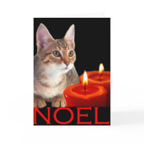 Kitty and candles greeting card