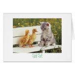 kitty and ducks Chick Chat cards