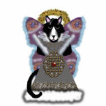 kitty angel 2008 (tuxedo) photo sculptures
