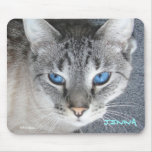 Kitty Blue Eyes - Name Personalised Mouse Pad mousepads