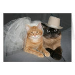 Kitty bride and groom card