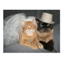 Kitty Bride and Groom Post Card