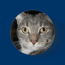 Kitty button buttons
