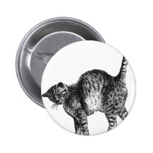 Kitty  Cat Buttons