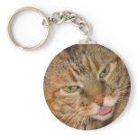 kitty cat kisses keychains