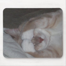 Kitty cat mousepad