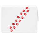 Kitty Cat Paws Prints cards