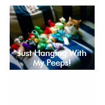 Kitty-Cat Peep. t-shirts