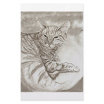 Kitty Cat Personalized Stationery