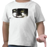 Kitty Cat t-shirts