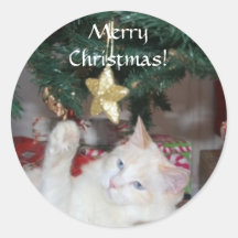 kitty christmas sticker