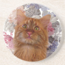 Kitty Coaster