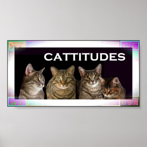 Kitty Faces Print